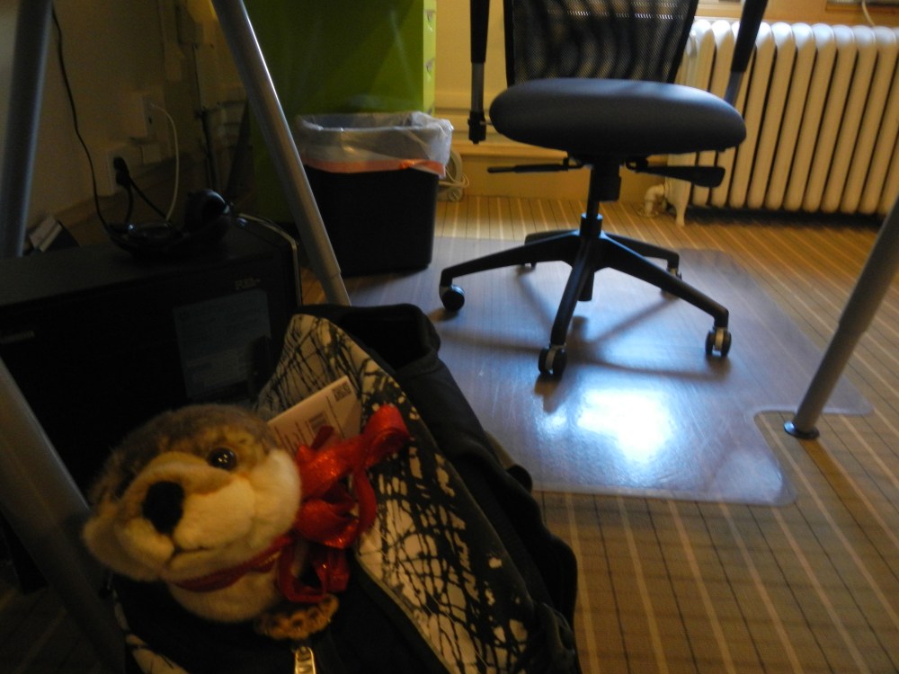 Bring Your Otter to Work Day