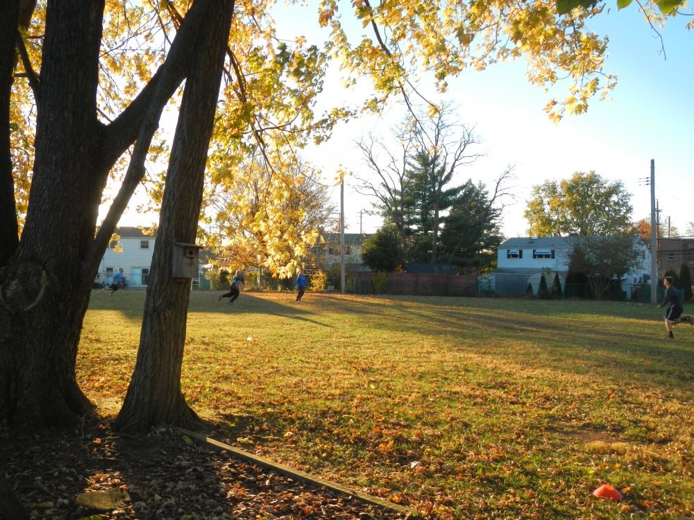 Sunset in my backyard