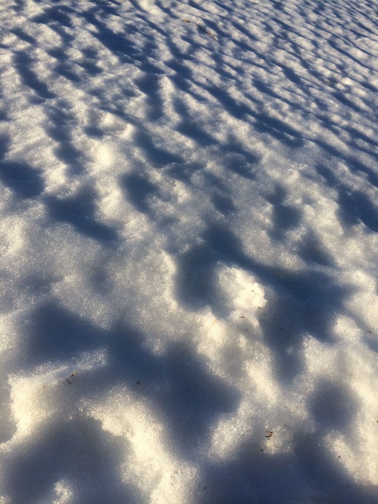 Snow Shadows