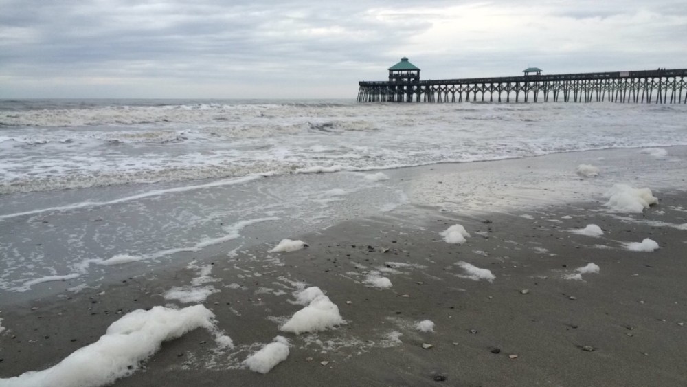 Folly Beach, Charleston