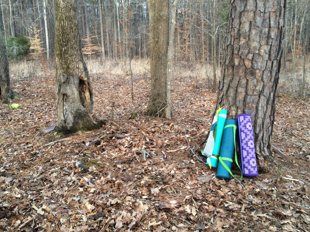 Umstead Park, North Carolina