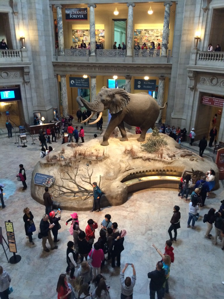 Washington D.C., Natural History Museum 