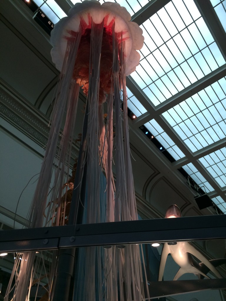 Washington D.C., Natural History Museum 