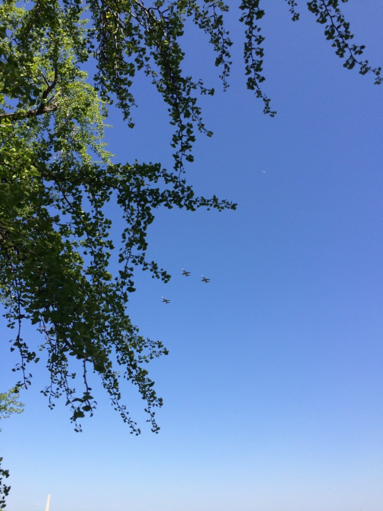 Washington D.C., Arlington Cemetery