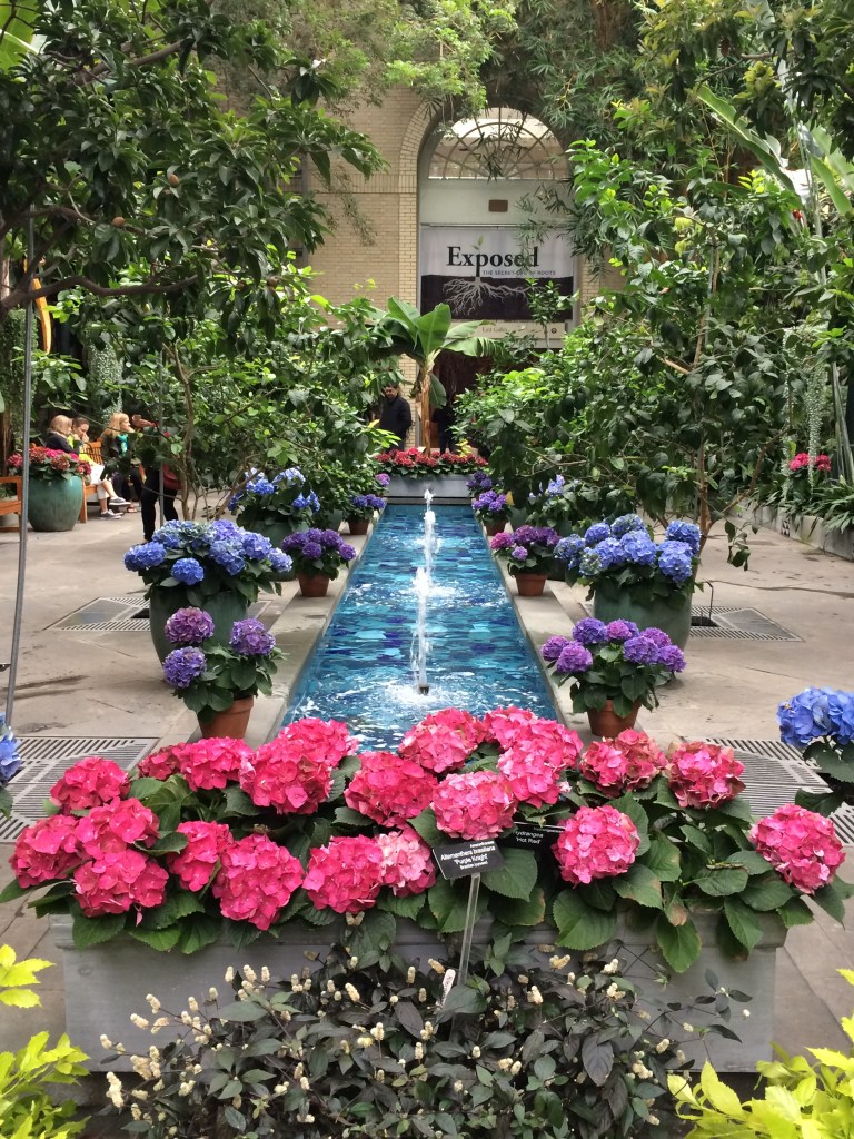 Washington D.C., Botanical Gardens