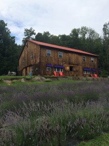 Peace Valley Lavender Farm