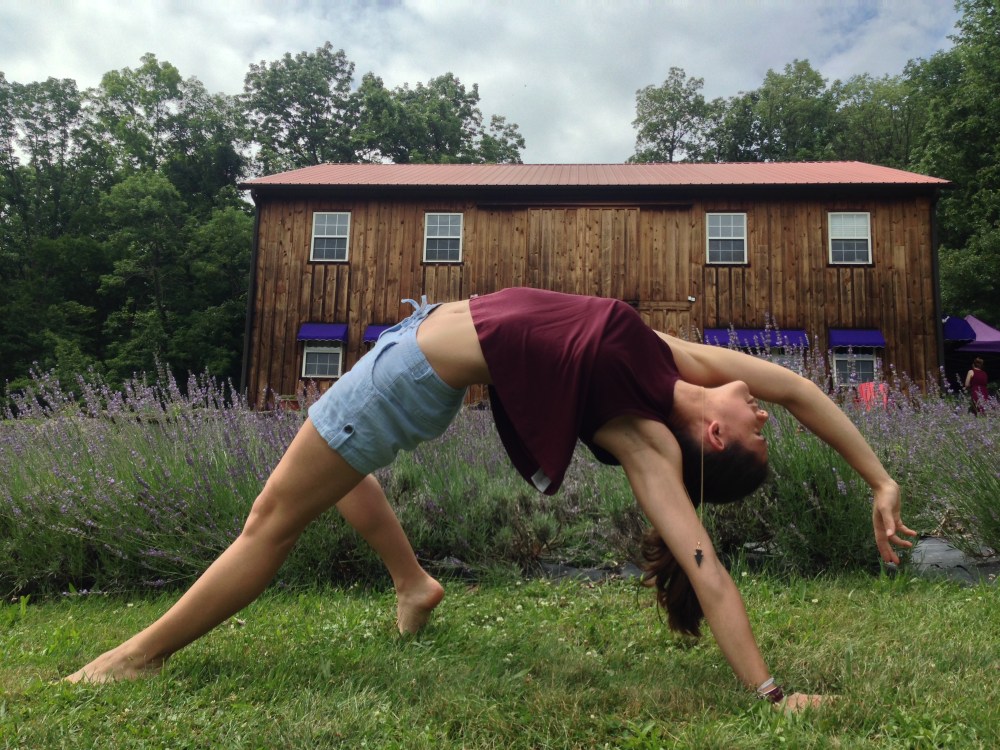 Peace Valley Lavender Farm