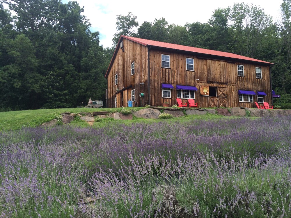 Peace Valley Lavender Farm
