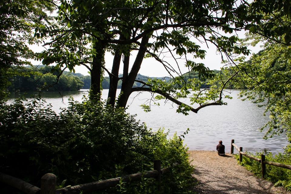 Why You Should Travel Solo 