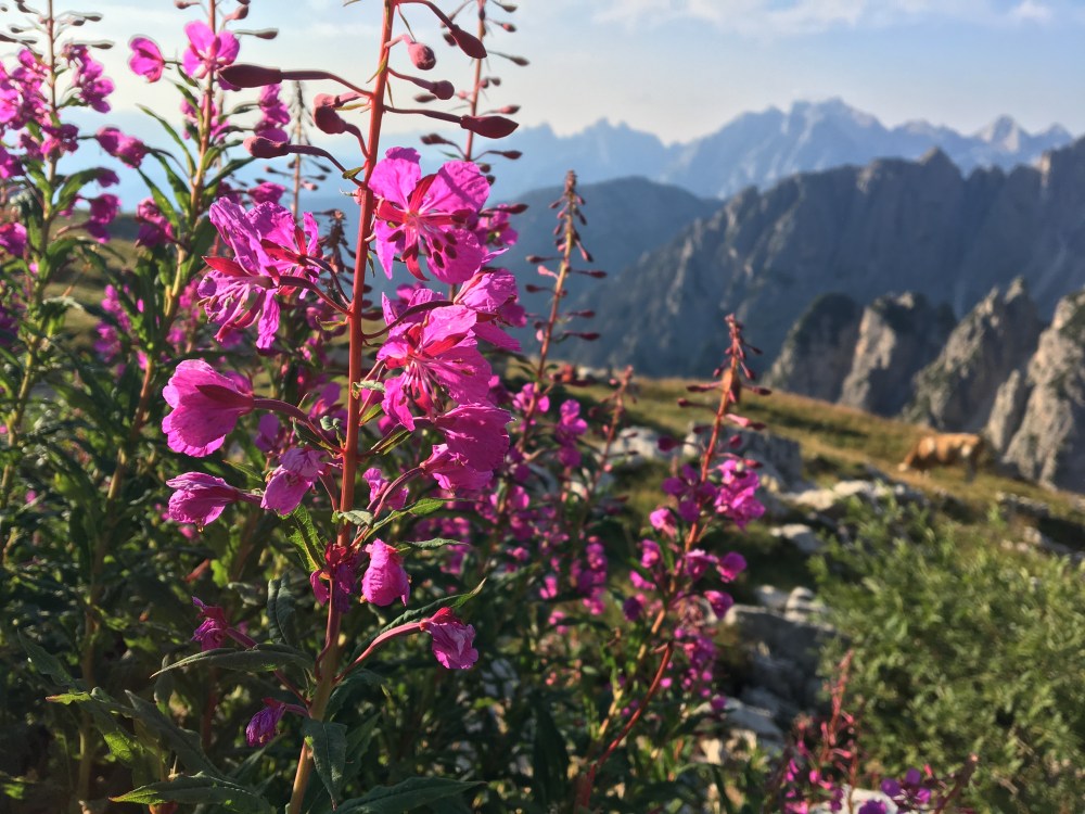 Rifugio in the Dolomites